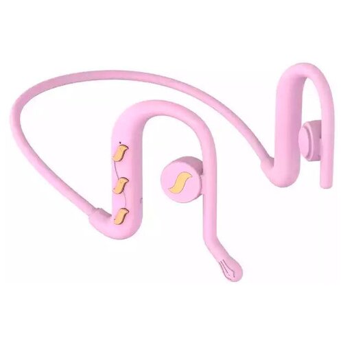 BandRate Smart BRSTWSK89PG 175000₽