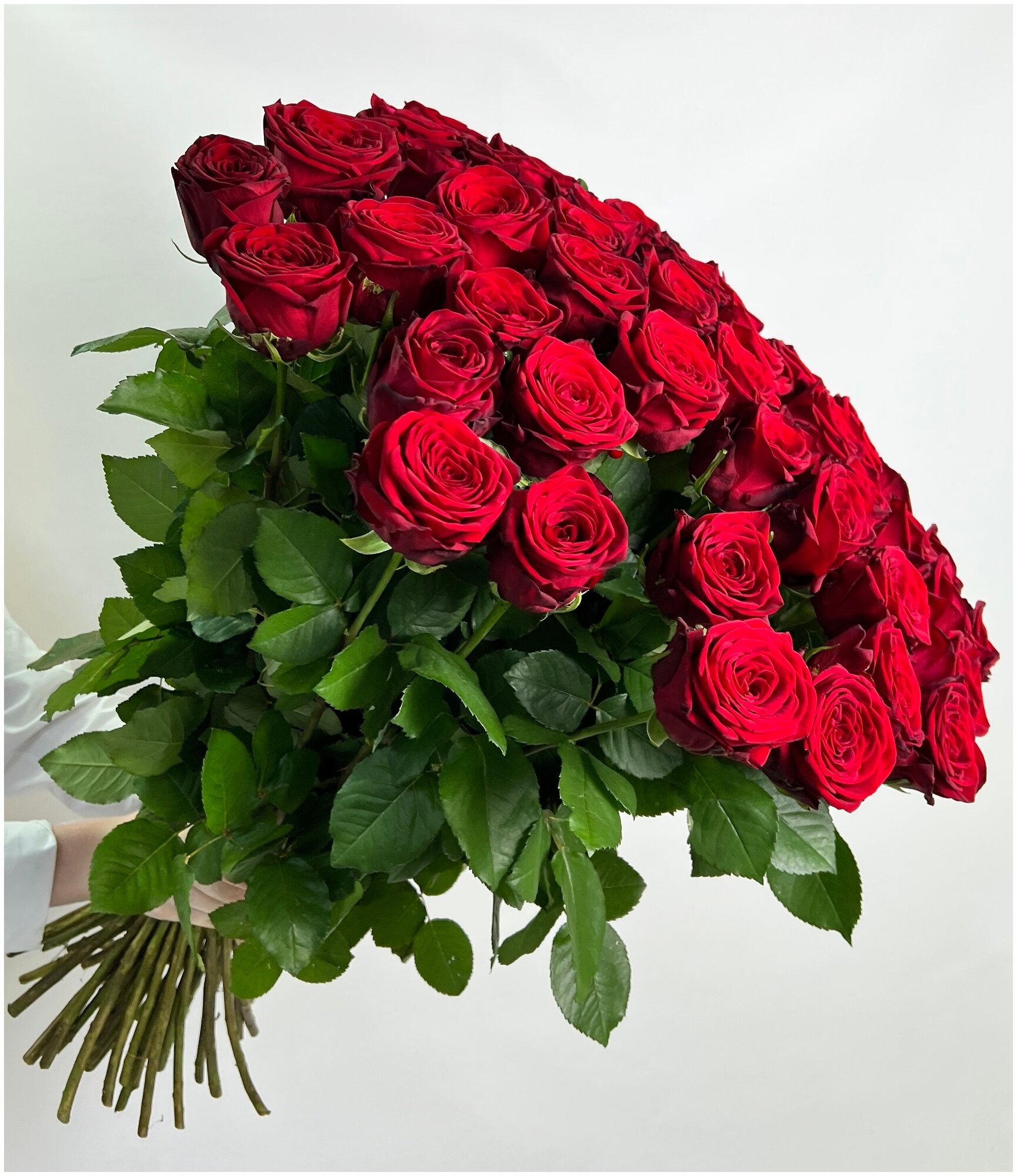 Роза красная Ред Наоми 51 шт 60 см
