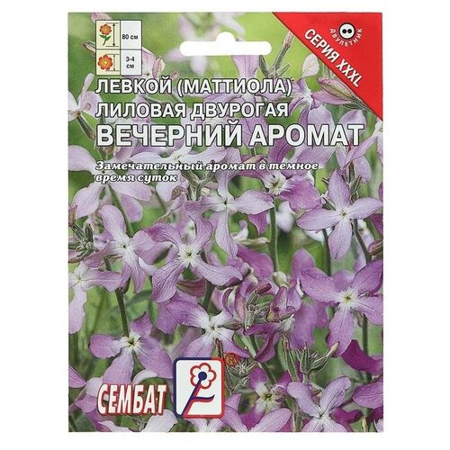 Семена цветов ХХХL Маттиола Вечерний аромат, 7 г./В упаковке шт: 2 семена цветов хххl маттиола вечерний аромат 7 г 2 шт