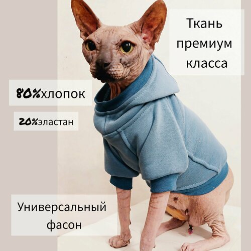Толстовка с капюшоном для кошек и собак мелких пород (блюстоун)
