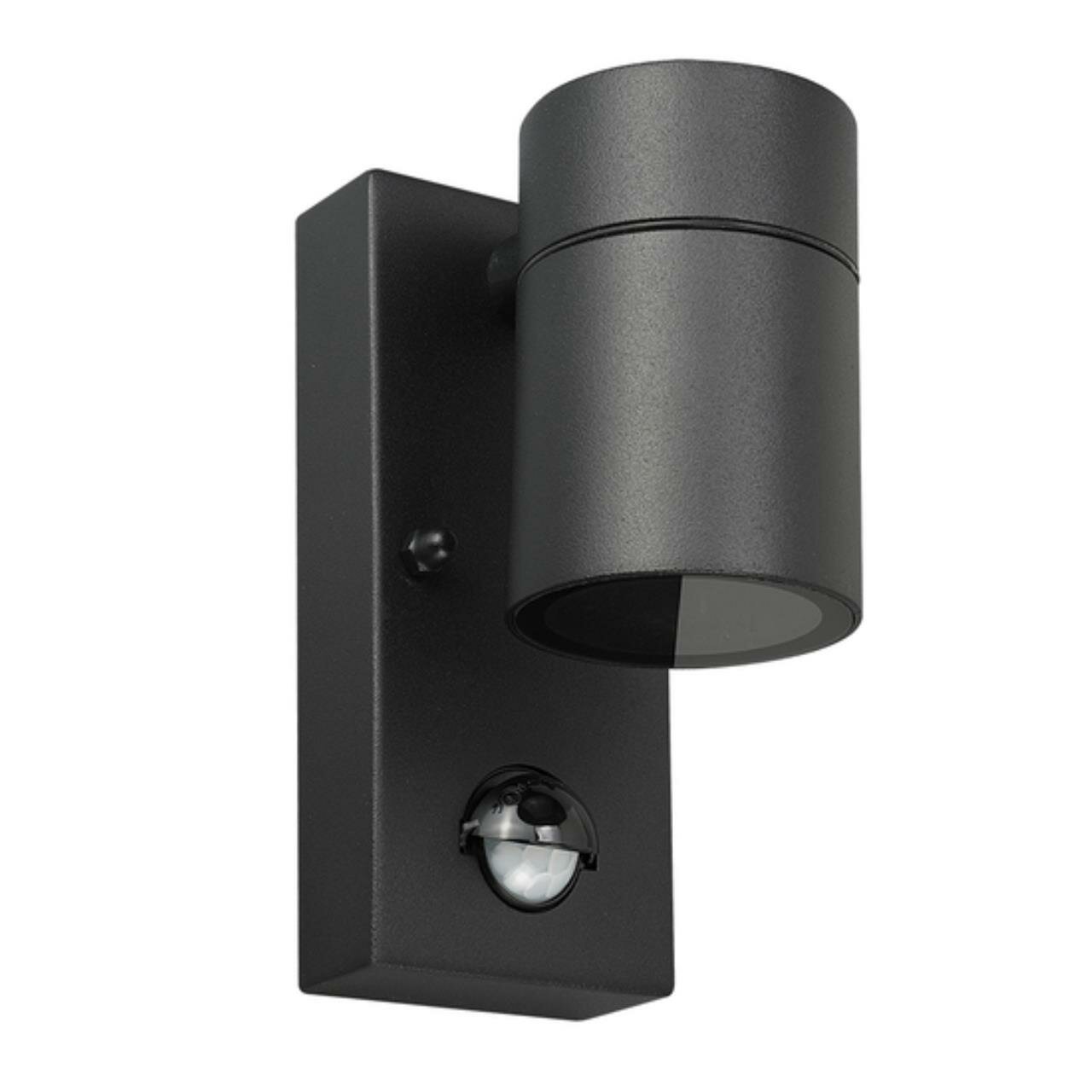 Фасадный светильник IP54 металл Arte Lamp MISTERO A3322AL-1BK