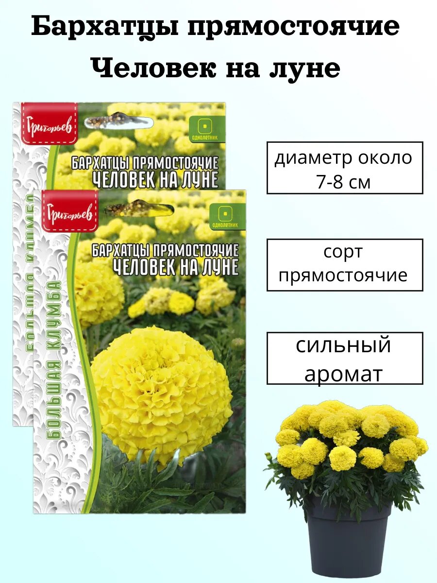 Семена бархатцев Григорьев 