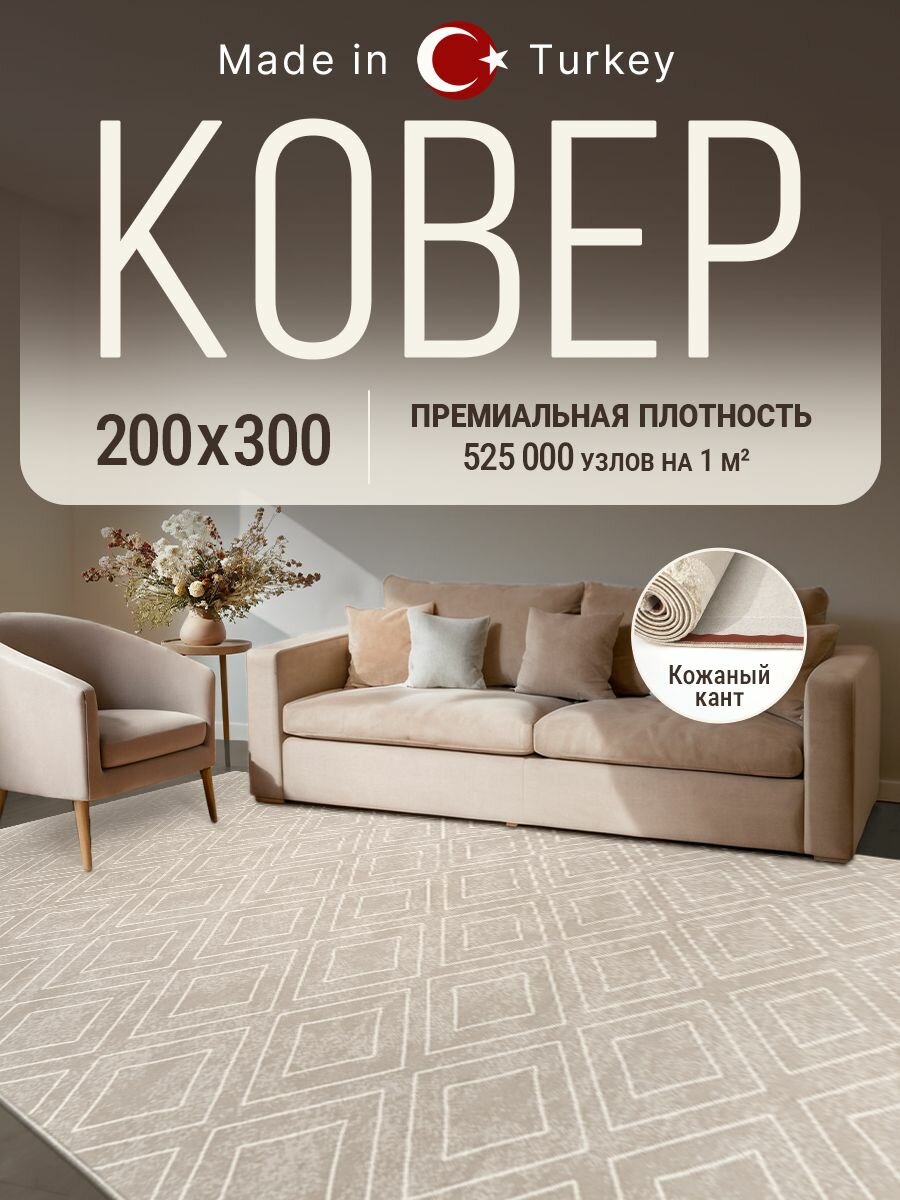 Ковер для комнаты на пол 200х300 см BARKS