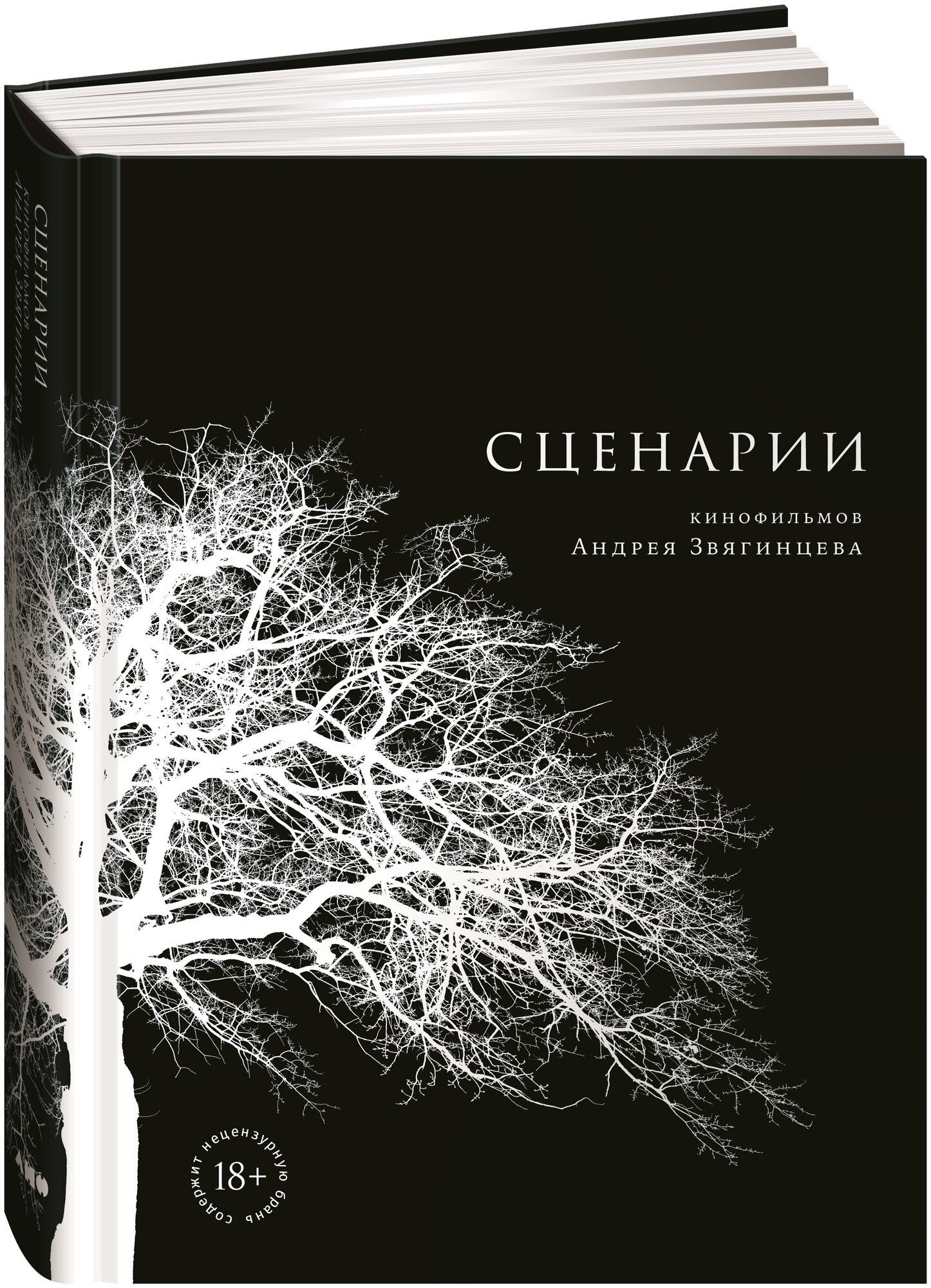 Сценарии (Звягинцев Андрей Петрович) - фото №2