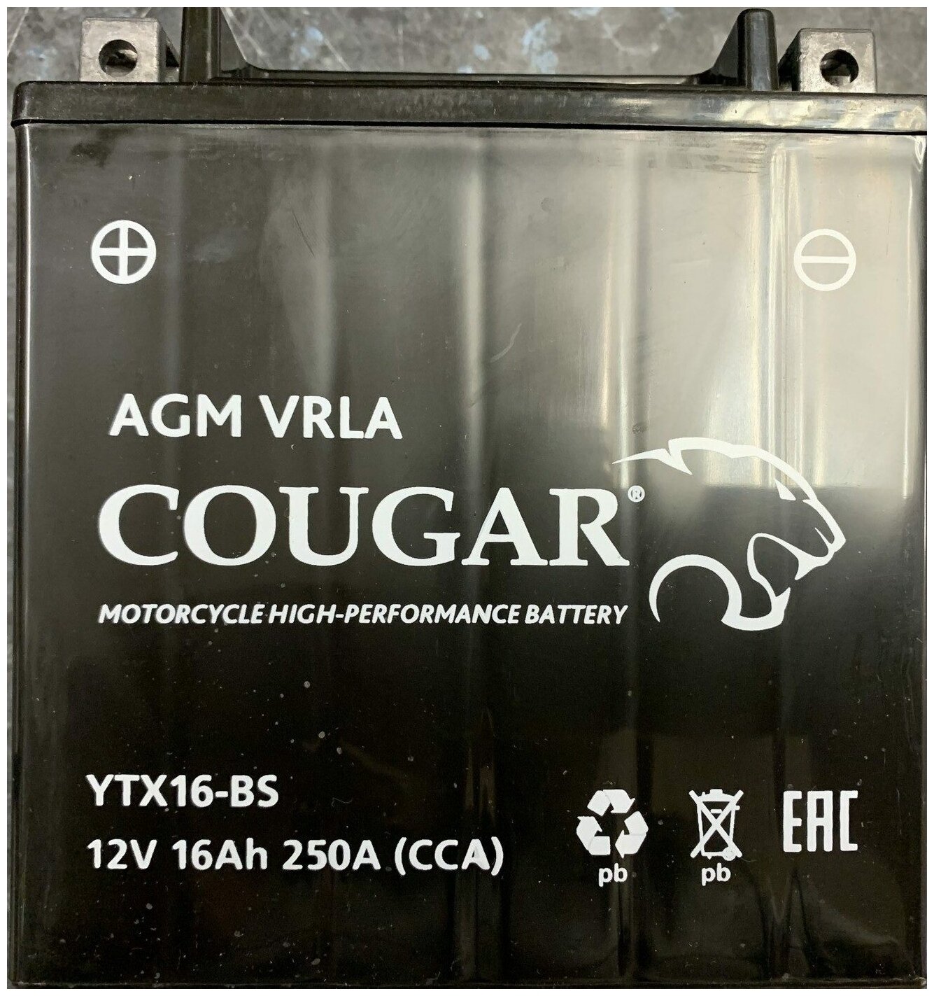 Аккумулятор мотоциклетный Cougar AGM YTX16-BS 12V 16Ah (залит и готов к применению)