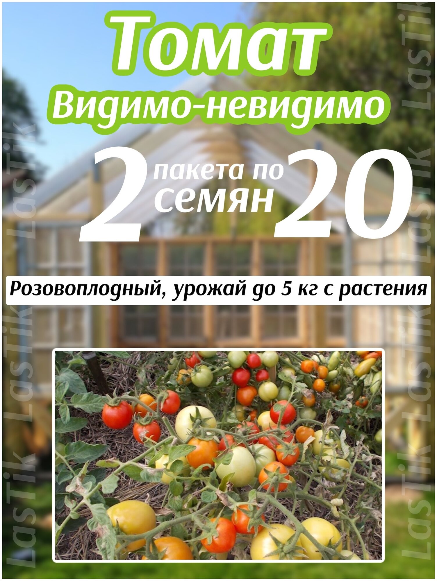 Томат Видимо-Невидимо сибирико 2 пакета по 20шт семян