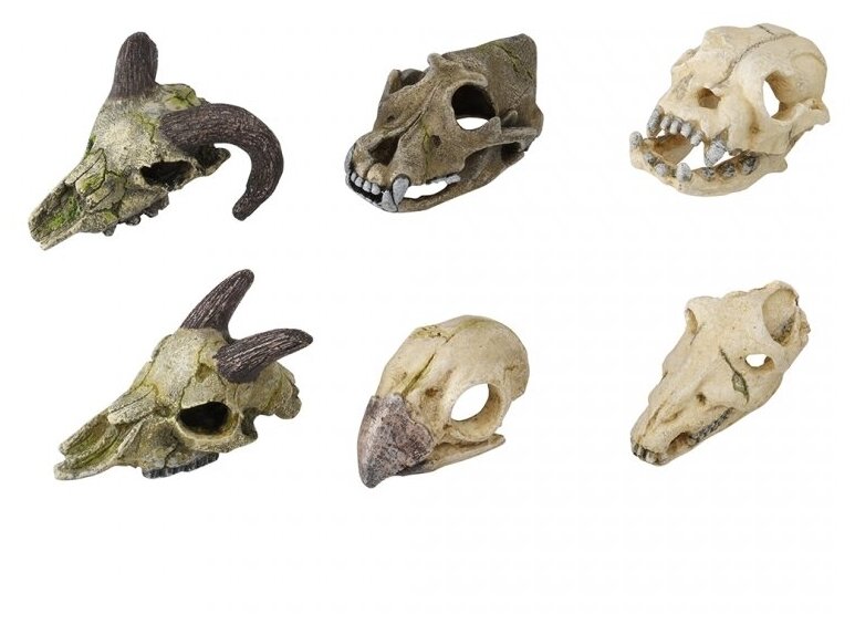 AQUA DELLA Декорация для аквариума " Мини черепа Skullmini Assorted", 7-10см - фото №1