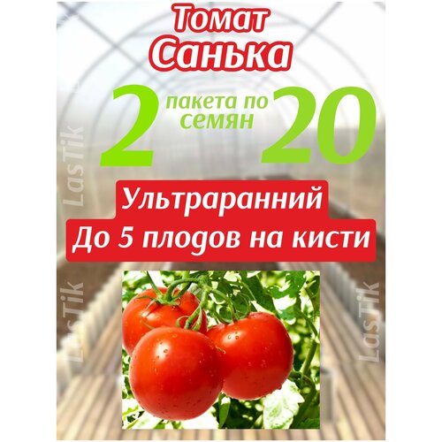 Томат Санька 2 пакета по 20шт семян томат санька 20шт дет ранн дачаtime 10 пачек семян