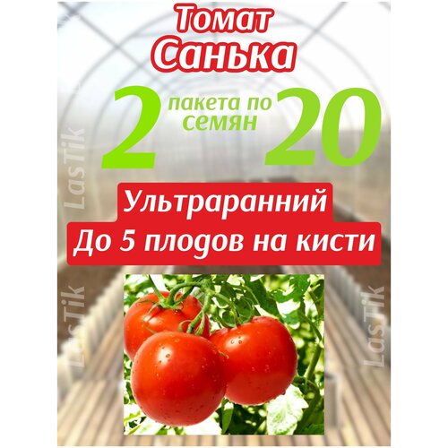 Томат Санька 2 пакета по 20шт семян