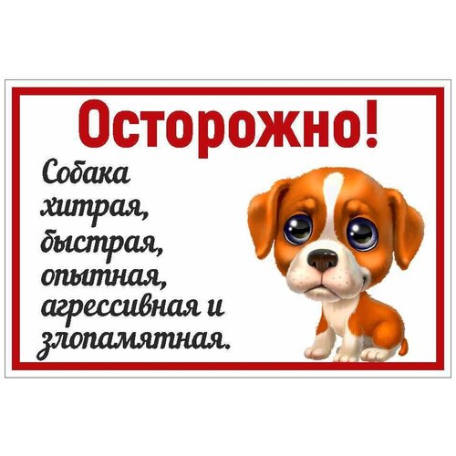 Информационная табличка Осторожно, злая собака 300х200 мм информационная табличка осторожно злая собака 300х100 мм