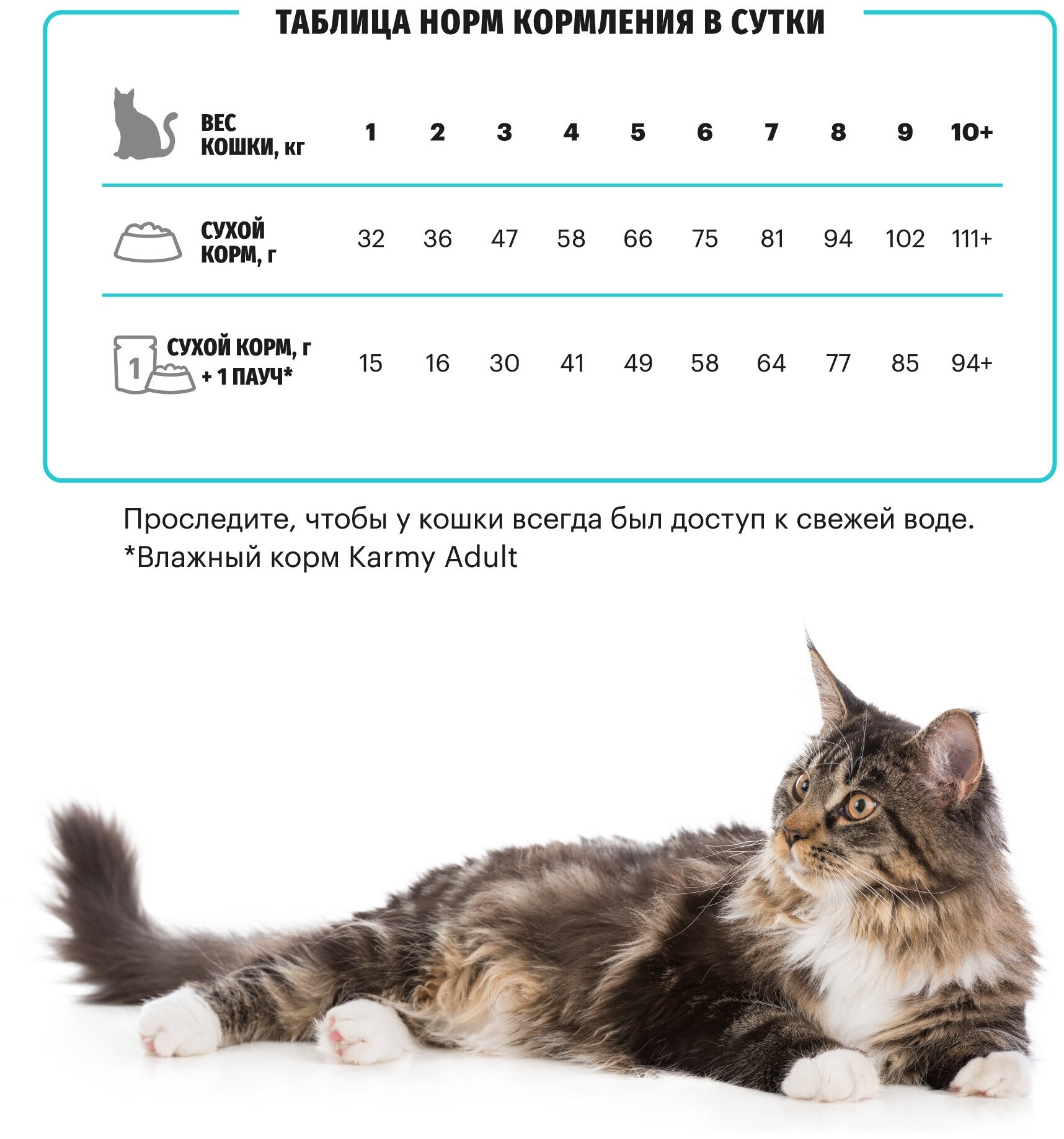 Сухой корм KARMY Гипоаллергенный для кошек, склонных к пищевой аллергии Утка 0,4кг - фотография № 12