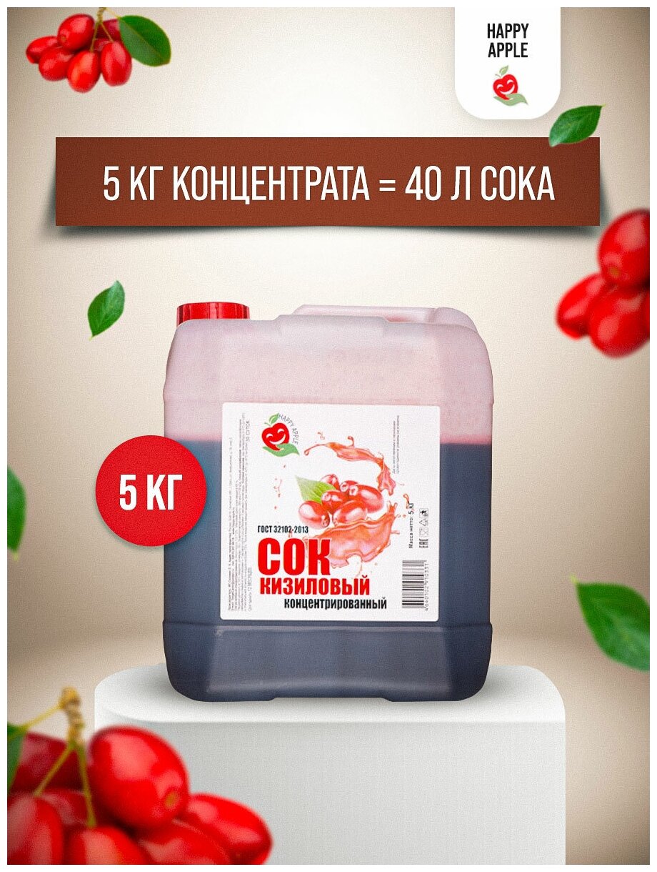 Сок концентрированный «Кизиловый», кисл. 7,0-7,5% канистра 5 кг (Happy Apple) - фотография № 1