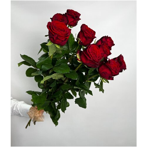Роза красная Ред Наоми 9 шт 60 см