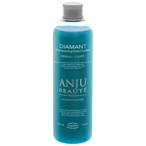 Anju Beaute Diamant Shampooing - Шампунь Сияние серого и голубых окрасов, 1:5 - 1 л