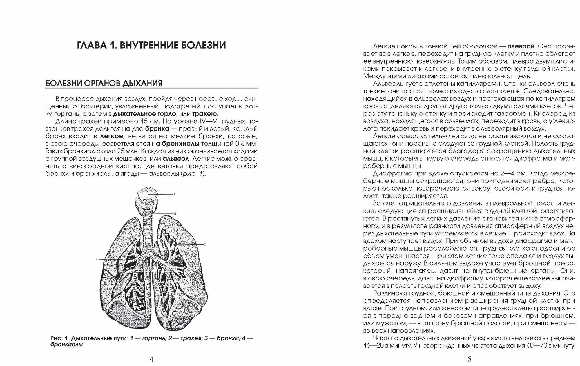 Медицинская энциклопедия (Орлова Любовь) - фото №8