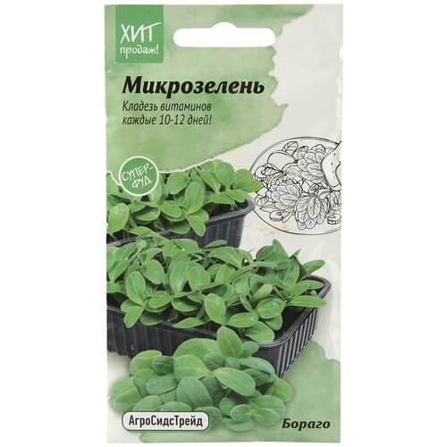 Микрозелень Бораго для проращивания АСТ / семена для выращивания микрозелени микрозелень бораго 2г нф нетипичный фермер