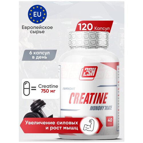 2sn creatine 100g Креатин 2SN Creatine 750мг 120 капсул