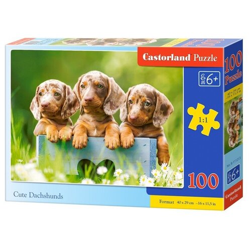 Пазл для детей Castorland 100 деталей: Щенки таксы