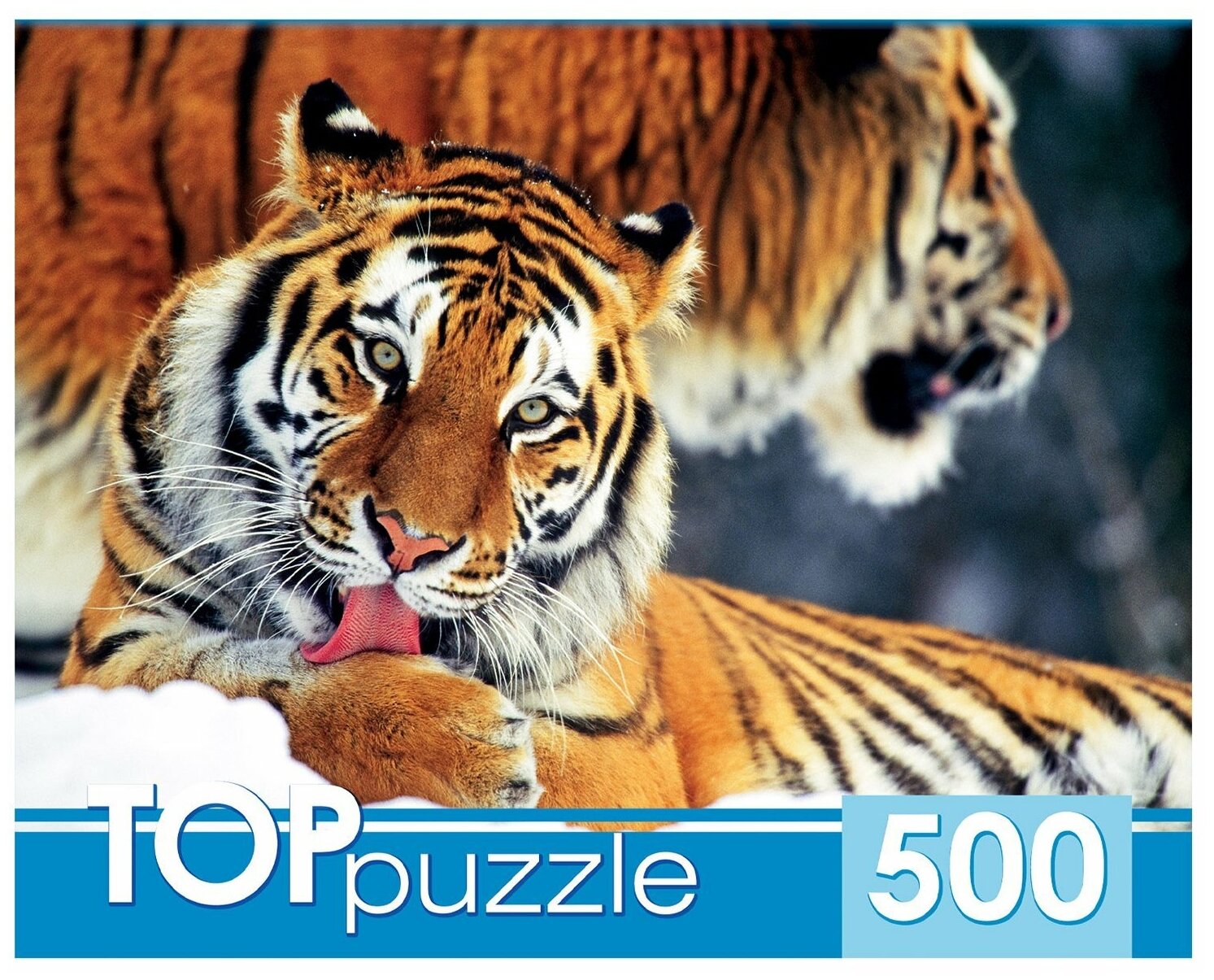 TOPpuzzle-500 "Два тигра" (КБТП500-6797) Рыжий кот - фото №1