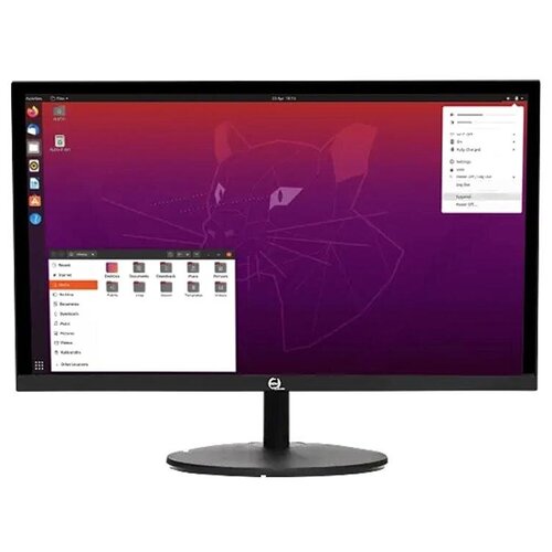 Монитор RDW Computers 23.8 RDW2401K IPS 5ms16:9 HDMI 1000:1 1920x1080D-Sub, 1 шт.