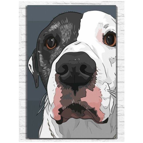 картина по номерам на холсте питбуль собака пёс 9222 в 60x40 Картина по номерам на холсте питбуль (собака, пёс) - 9222 В 60x40