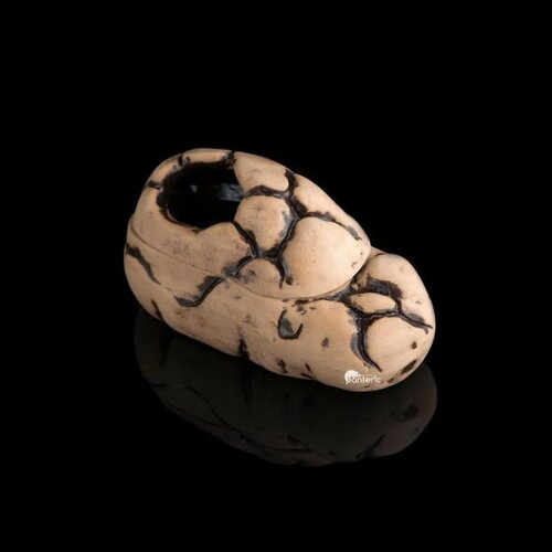 Влажная камера для рептилий и амфибий Gloxy светлая Medium 1790₽