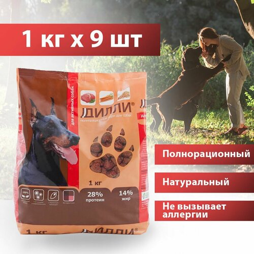 Сухой корм для активных собак Дилли, с курицей и индейкой, упаковка 1 кг х 9 шт