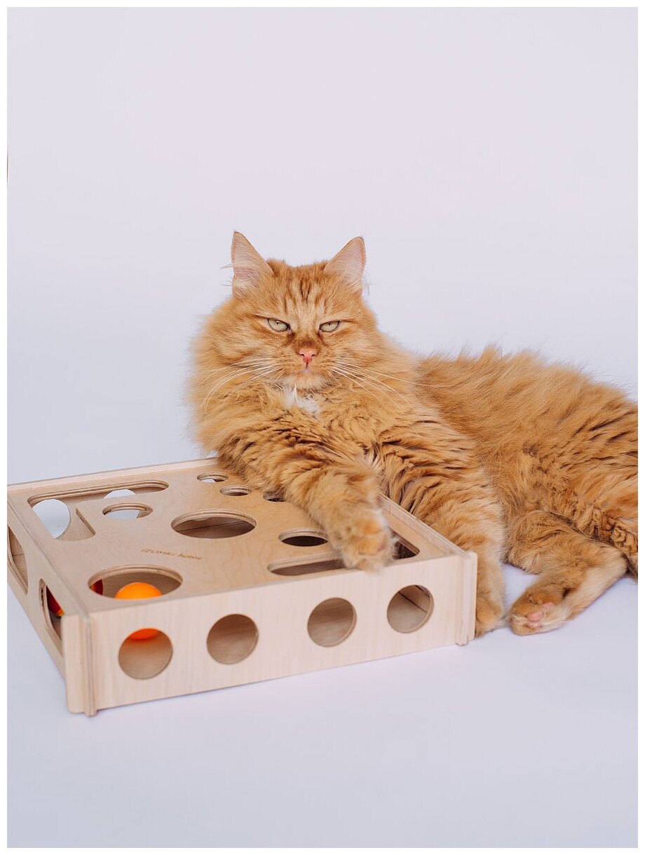 Игрушка премиум для кошек головоломка игрушка для кота когтеточка логическая игра для кошек интерактивная с мячиками игра для котов Лапка - фотография № 4