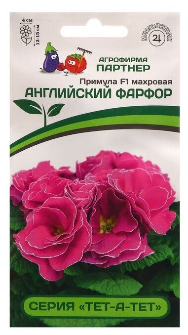Семена цветов Примула "Тет-А-Тет", махровая, английский фарфор, F1, 5 шт
