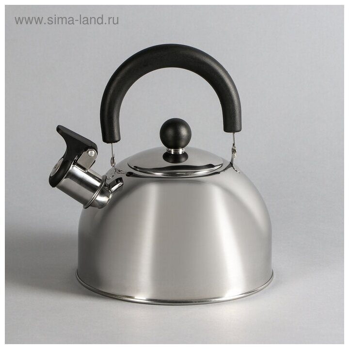 Чайник на плиту Катунь - фото №5