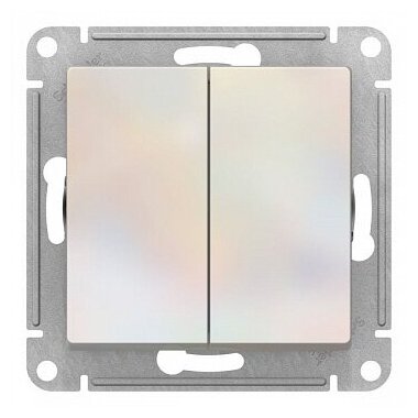   Schneider Electric (Systeme Electric) Atlas Design   ATN000451 6