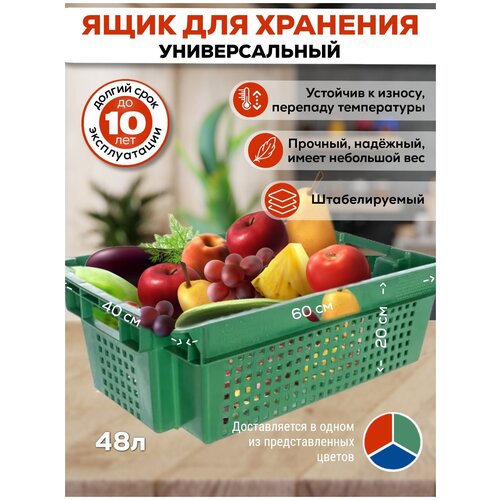 Ящик для овощей №1 600*400*200 цветной