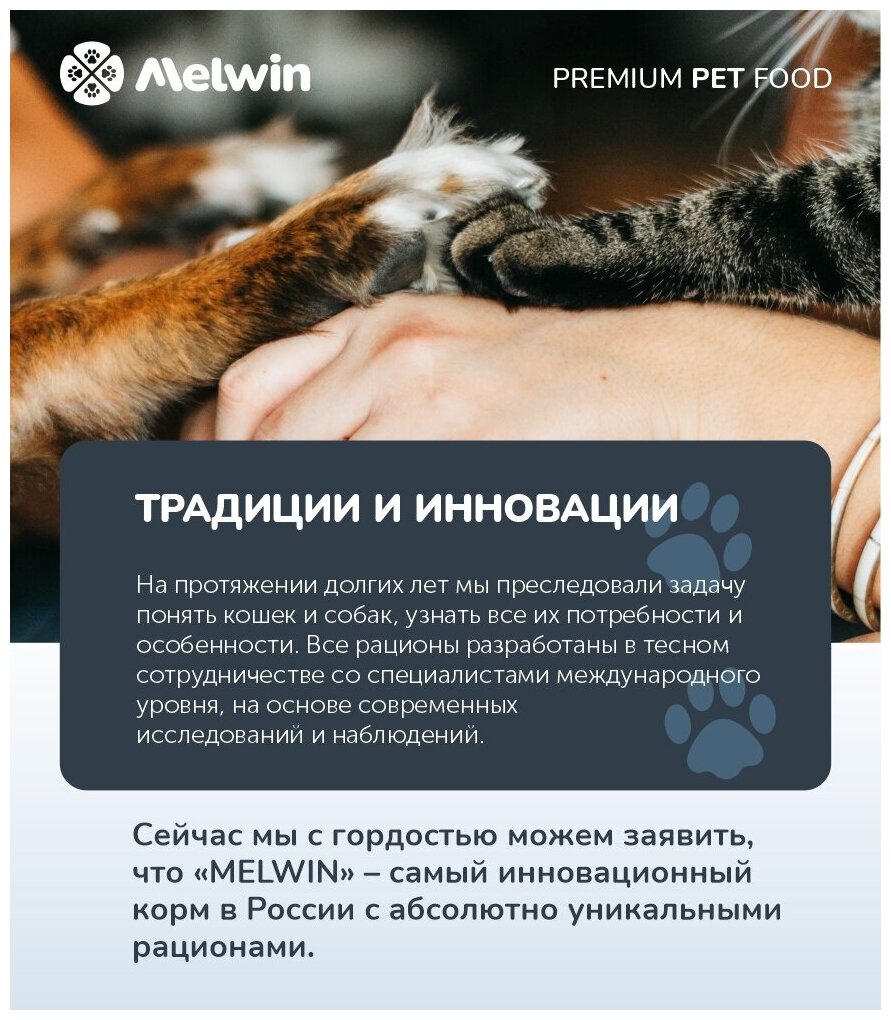 Корм сухой MELWIN для котят всех пород до 1 года Нежная телятина Премиум 2,5 кг - фотография № 10