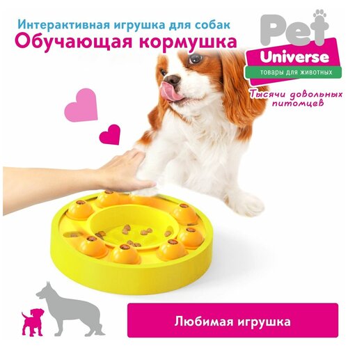 Развивающая игрушка для собак и кошек Pet Universe, головоломка, интерактивная обучающая кормушка дозатор, для медленной еды и лакомств, IQ PU1003Y