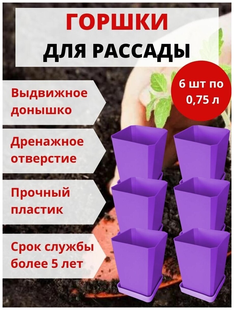 Набор горшков для рассады Пеликан 6 шт. фиолетовый - фотография № 3