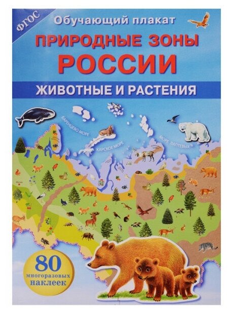 Обучающий плакат. Природные зоны России. Животные и растения