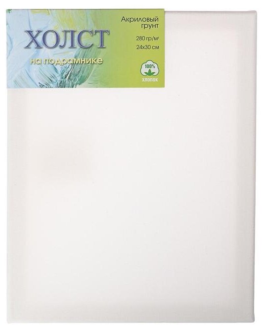 фото Холст Невская палитра на подрамнике мелкозернистый 24x30 см, E5309-P-24x30