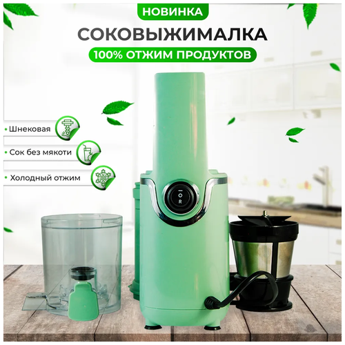 Шнековая соковыжималка для фруктов и овощей