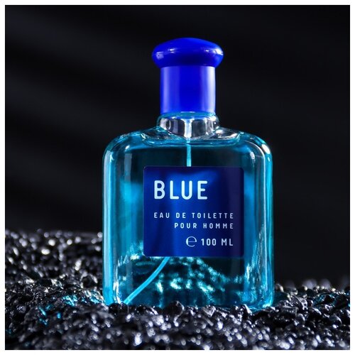 Today Parfum туалетная вода Colour Essences Blue, 100 мл, 268 г туалетная вода мужская today parfum colour essences red wood 100 мл today parfum 9148595