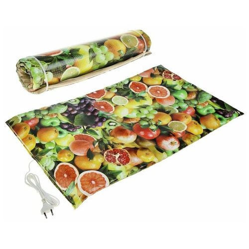 Самобранка Сушилка для овощей и фруктов Самобранка 150 Вт 75 х 50 см рисунок Фрукты 282400₽