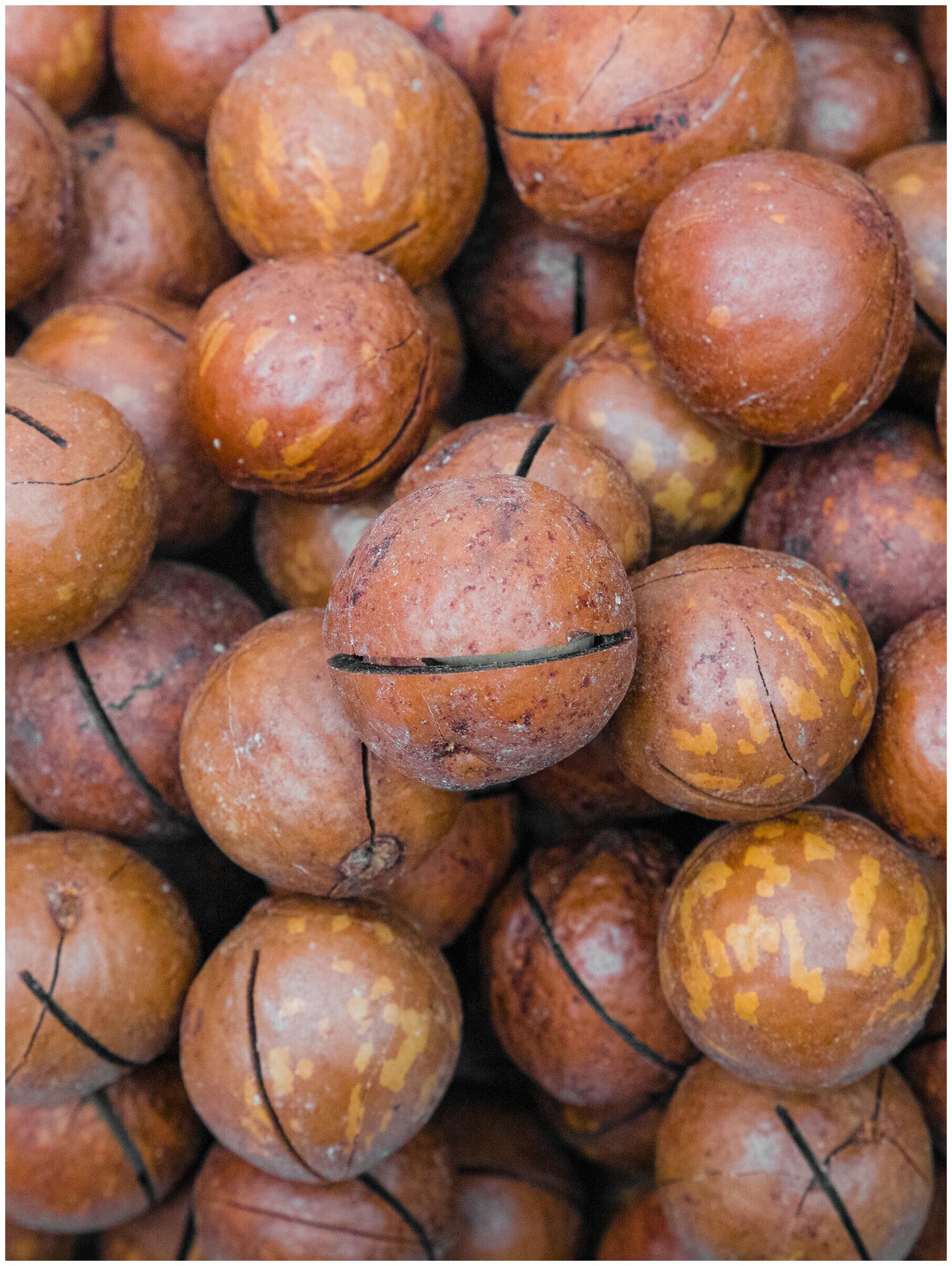Полезно и Вкусно! Макадамия орех в скорлупе (с ключом в комплекте), ЮАР, 1 кг / 1000гр - фотография № 2