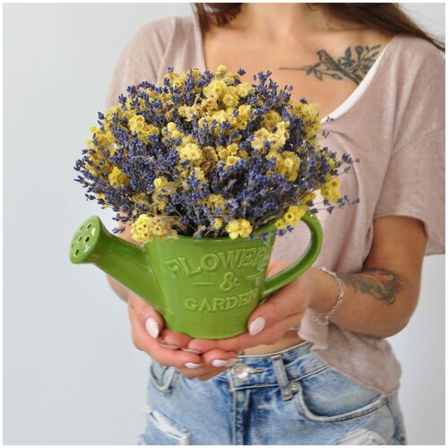 Лаванда в керамическом кашпо