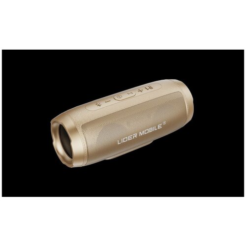 Портативная беспроводная стерео колонка Premium - S Bluetooth колонка Super bass USB Micro SD AUX FM золотистая 229000₽