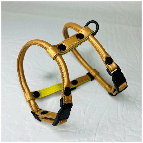 Шлейка круглая для шпица из кожи размер XS золото