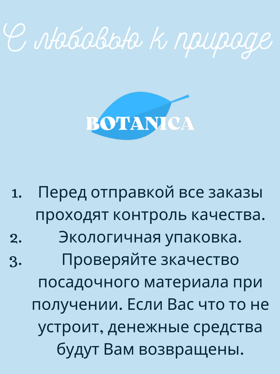 Луковицы цветов, botanica garden, ранункулюс микс окрасок, ( 10 штук ) — фото 1