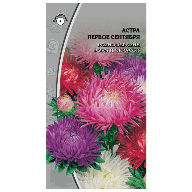 Семена Астра Первое Сентября 02 гр