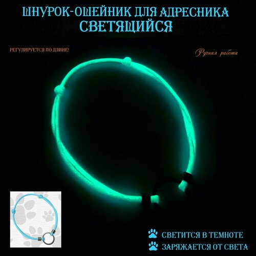 Шнурок-ошейник светящийся для адресника. M (25-35 см) Голубой