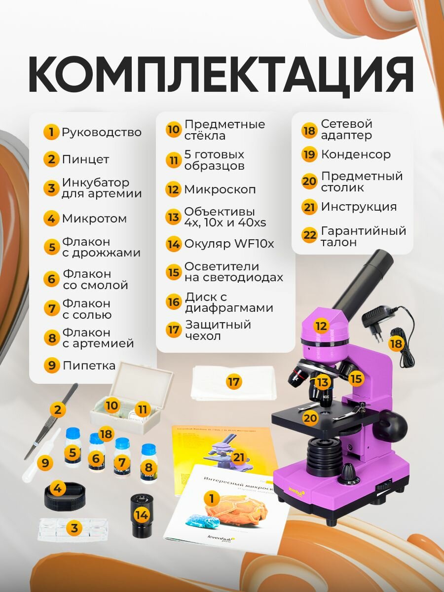 Микроскоп Levenhuk Rainbow 2L Amethyst/Аметист — фото 1