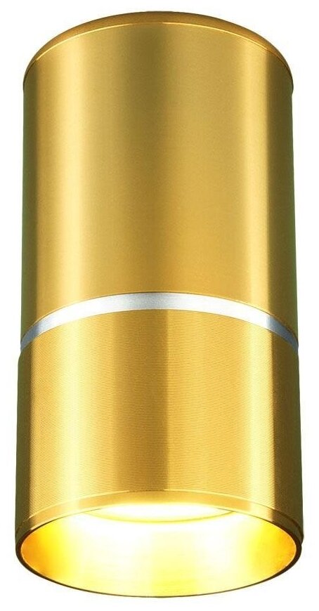 Накладной потолочный светильник Elektrostandard DLN106 GU10 золото