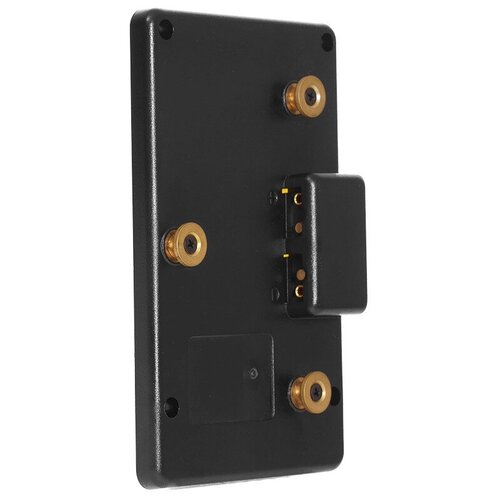 Адаптер Soonwell P-AM для Gold Mount 299000₽